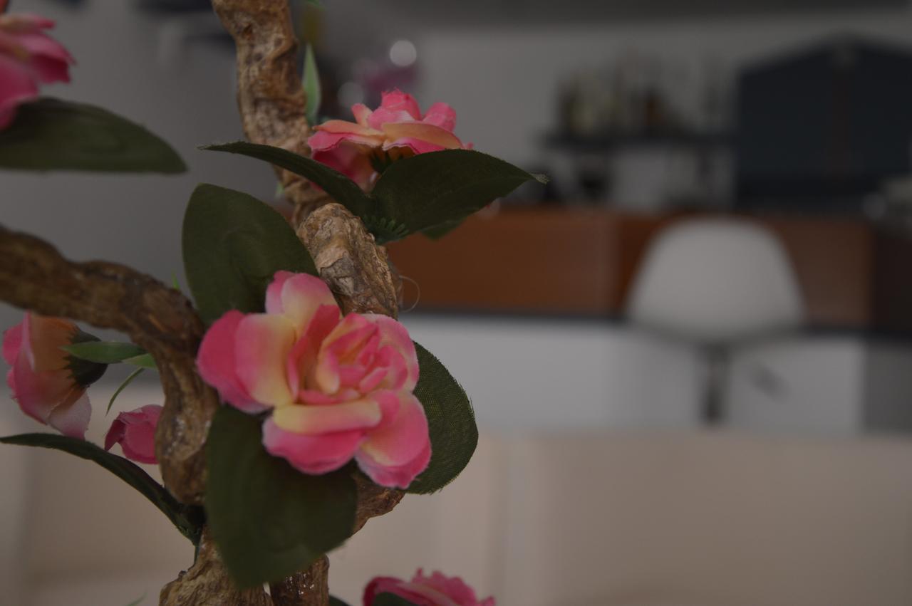 ריצ'יונה Hotel Fucsia מראה חיצוני תמונה